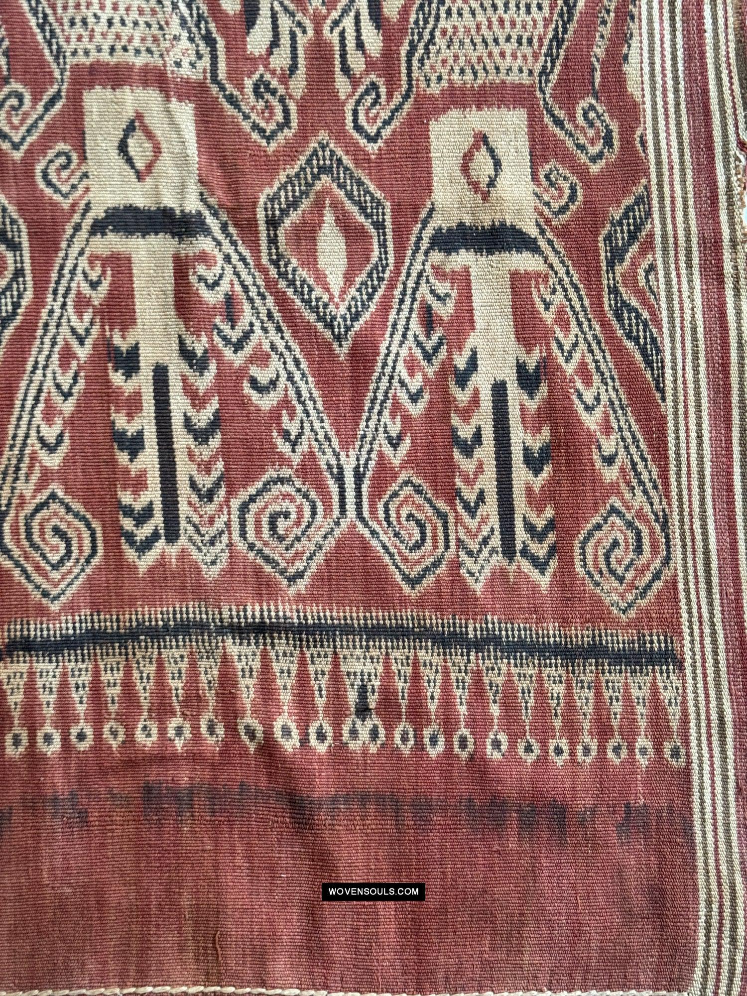 1831 Antique Iban Ceremonial Ikat - Serpent Buah Penyandih Ngelai