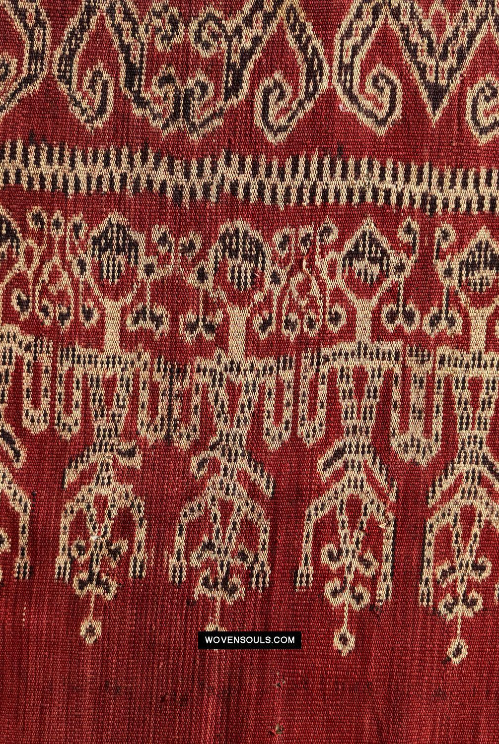 1836 Antique Iban Ceremonial Ikat - Vine Pattern