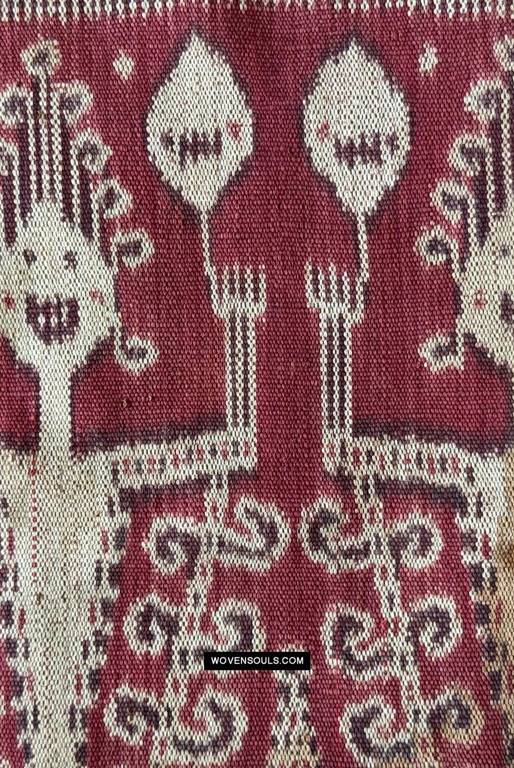 1840 Antique Iban Ceremonial Ikat - Vines & Trophy? pattern