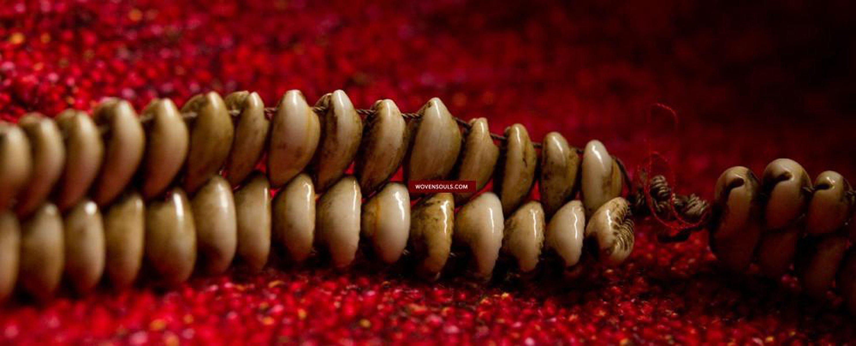 239 Shaman Cowrrie Frtility Necklace Amulet - Borneo-WOVENSOULS-Antique-Vintage-Textiles-Art-Decor