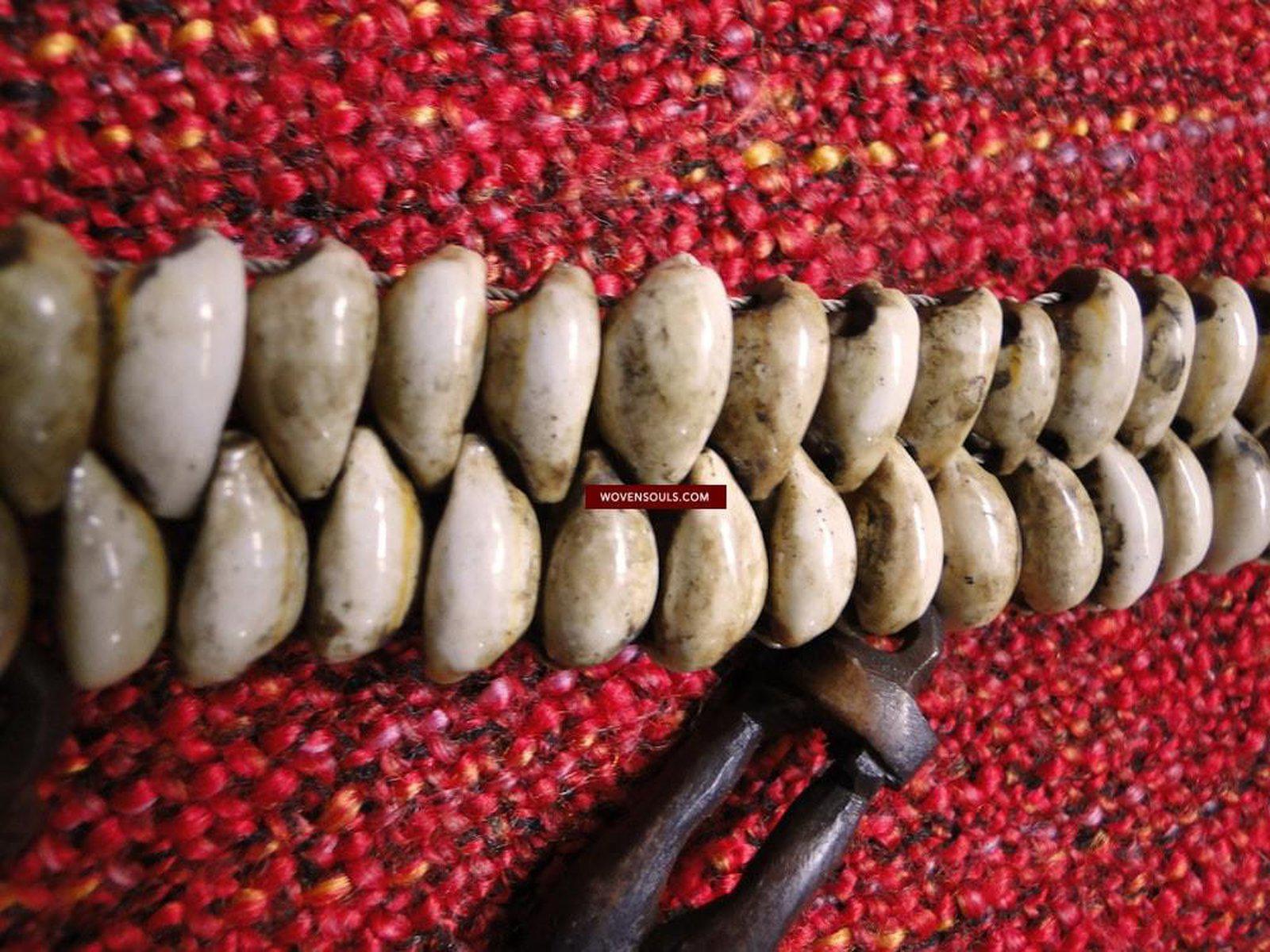 239 Shaman Cowrrie Frtility Necklace Amulet - Borneo-WOVENSOULS-Antique-Vintage-Textiles-Art-Decor