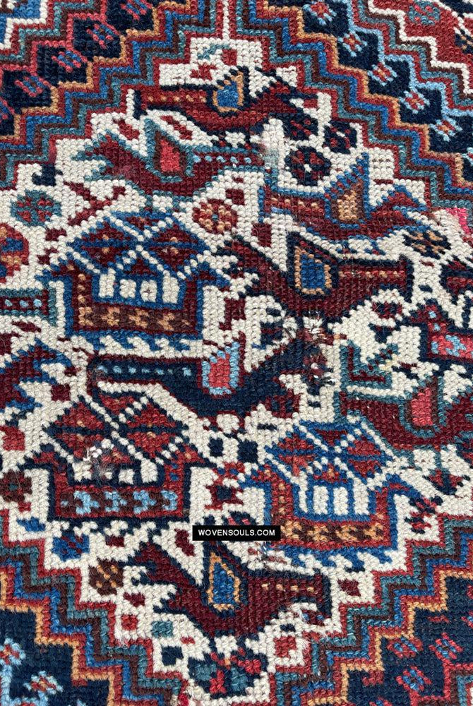409 Antique Afshar Bird Rug - Gallery-2-WOVENSOULS Antique Textiles & Art Gallery