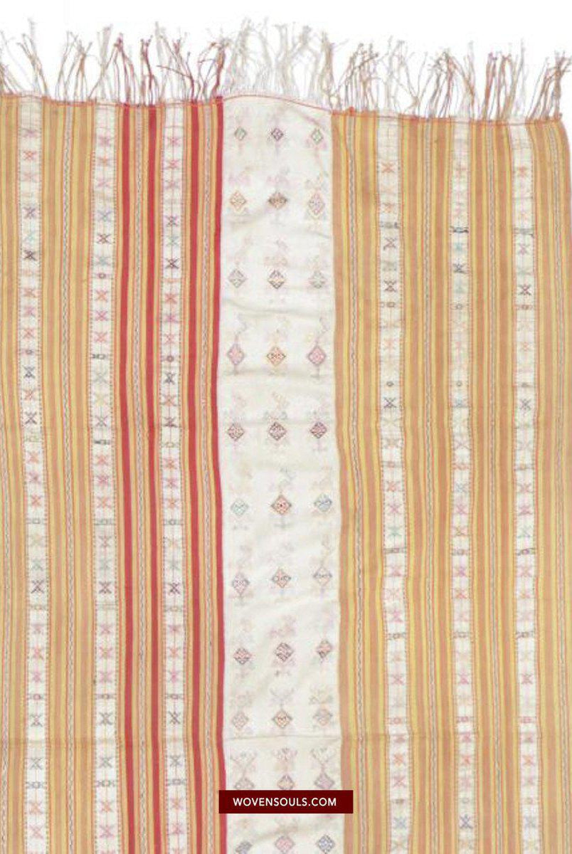 1453 Alter figurativer Ikat Selimut aus Ayotupas Timor mit Eidechsenarten-WOVENSOULS-Antike-Vintage-Textilien-Kunst-Dekor