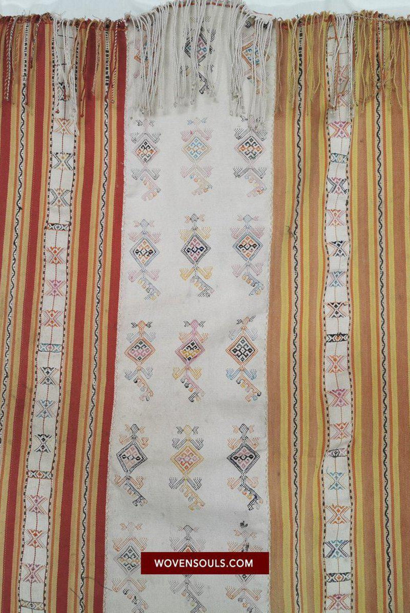 1453 Alter figurativer Ikat Selimut aus Ayotupas Timor mit Eidechsenarten-WOVENSOULS-Antike-Vintage-Textilien-Kunst-Dekor