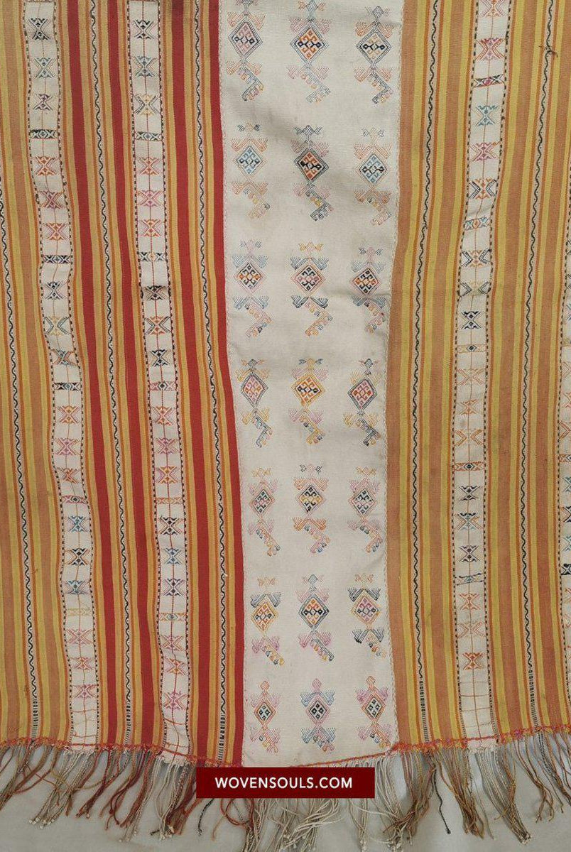 1453 Alter figurativer Ikat Selimut aus Ayotupas Timor mit Eidechsenarten-WOVENSOULS-Antike-Vintage-Textilien-Kunst-Dekor