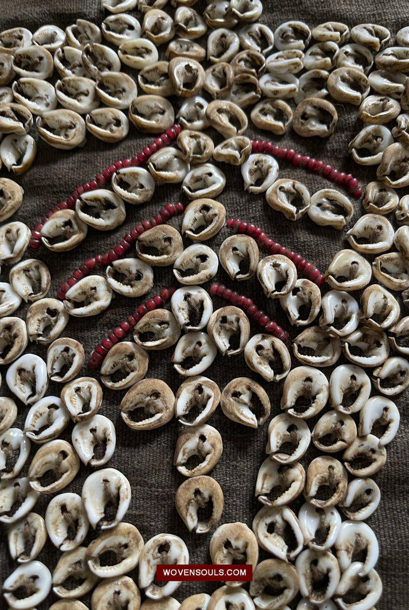 1506 Superb Old Sumba Ceremonial Weaving with Shells & Beads Lau Wuti Kau-WOVENSOULS-Antique-Vintage-Textiles-Art-Decor