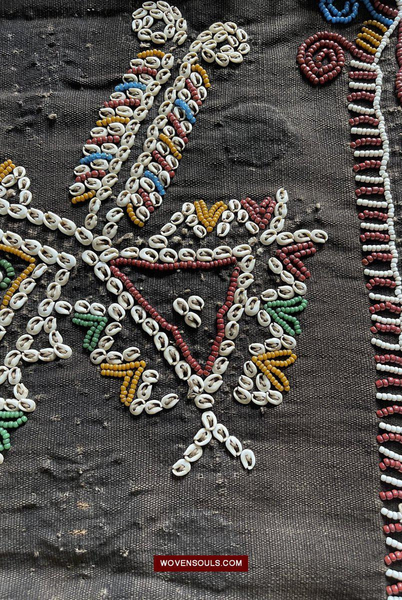 1507 Superb Old Sumba Ceremonial Weaving with Shells & Beads Lau Wuti Kau - Rare Stylised Motif-WOVENSOULS-Antique-Vintage-Textiles-Art-Decor
