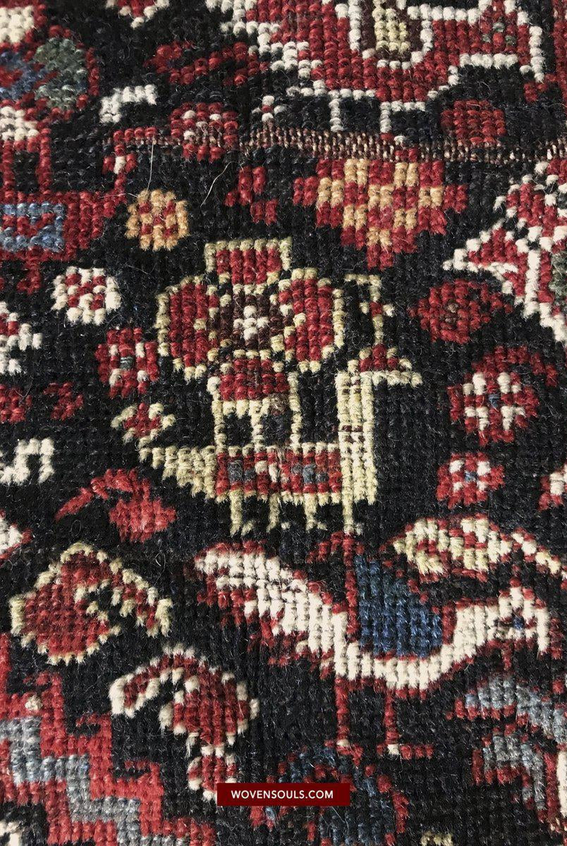 1526 Antique Khamse Bird Rug-WOVENSOULS-Antique-Vintage-Textiles-Art-Decor
