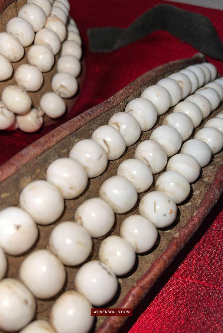 1754 Old Tibetan Nomad's White Coral Belt-WOVENSOULS Antique Textiles & Art Gallery