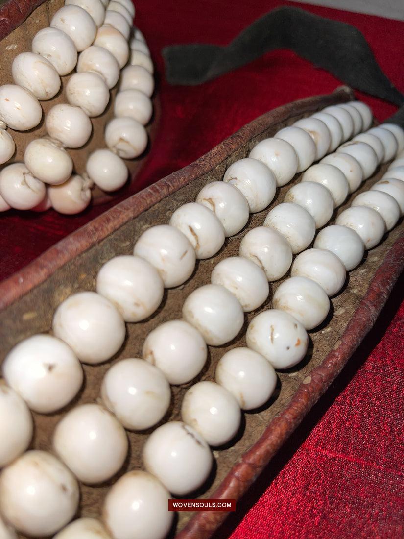 1754 Old Tibetan Nomad's White Coral Belt-WOVENSOULS Antique Textiles & Art Gallery