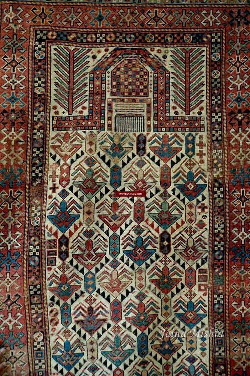 111 White Field Shirvan Prayer Rug - Gallery-2-WOVENSOULS-Antique-Vintage-Textiles-Art-Decor