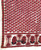 1789 Antique Sindh Odhana Abochani Wedding Shawl - WOVENSOULS Antique Textiles & Art Gallery