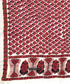 1789 Antique Sindh Odhana Abochani Wedding Shawl - WOVENSOULS Antique Textiles & Art Gallery