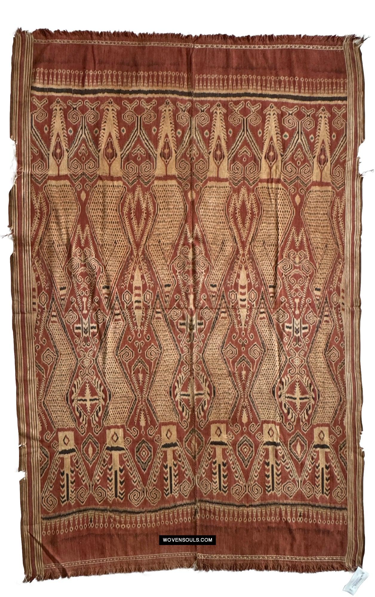 1831 Antique Iban Ceremonial Ikat - Serpent Buah Penyandih Ngelai