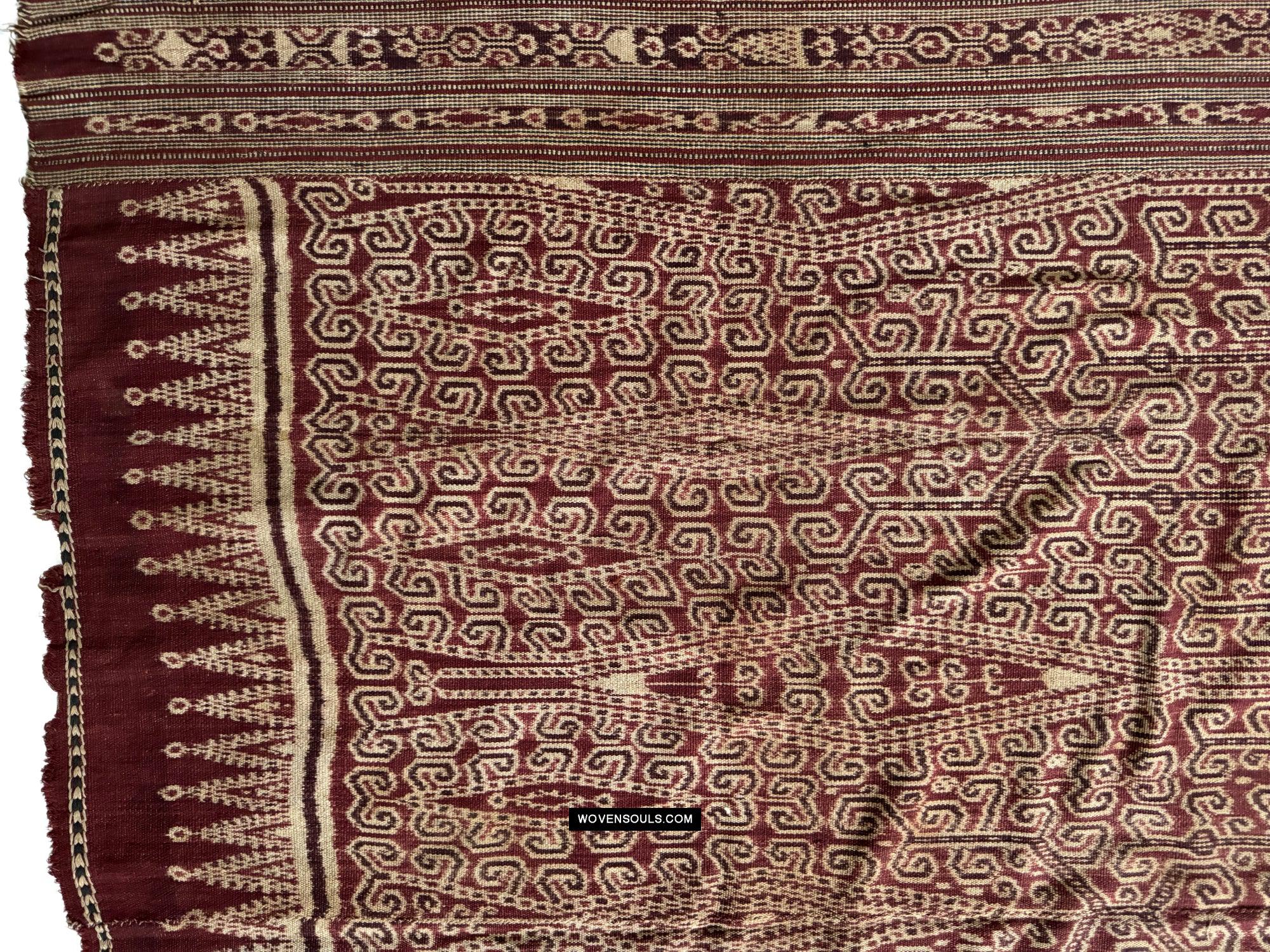 1832 Antique Iban Ceremonial Ikat - Vine Pattern XL