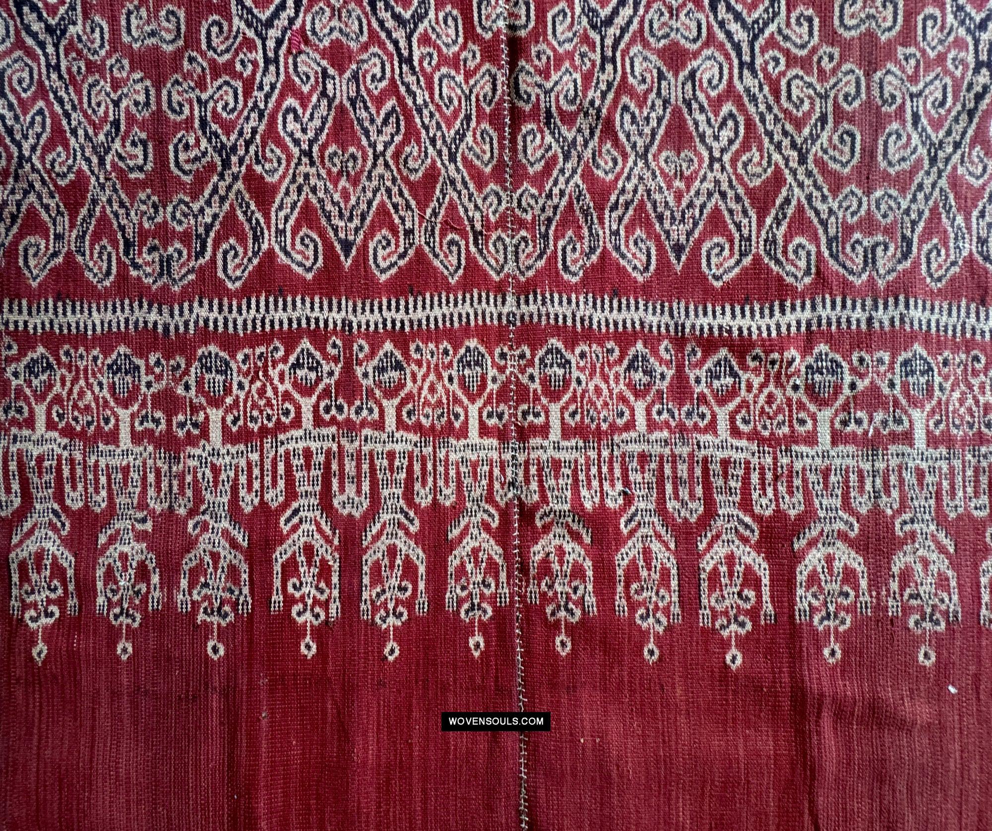 1836 Antique Iban Ceremonial Ikat - Vine Pattern