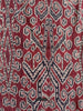 1836 Antique Iban Ceremonial Ikat - Vine Pattern