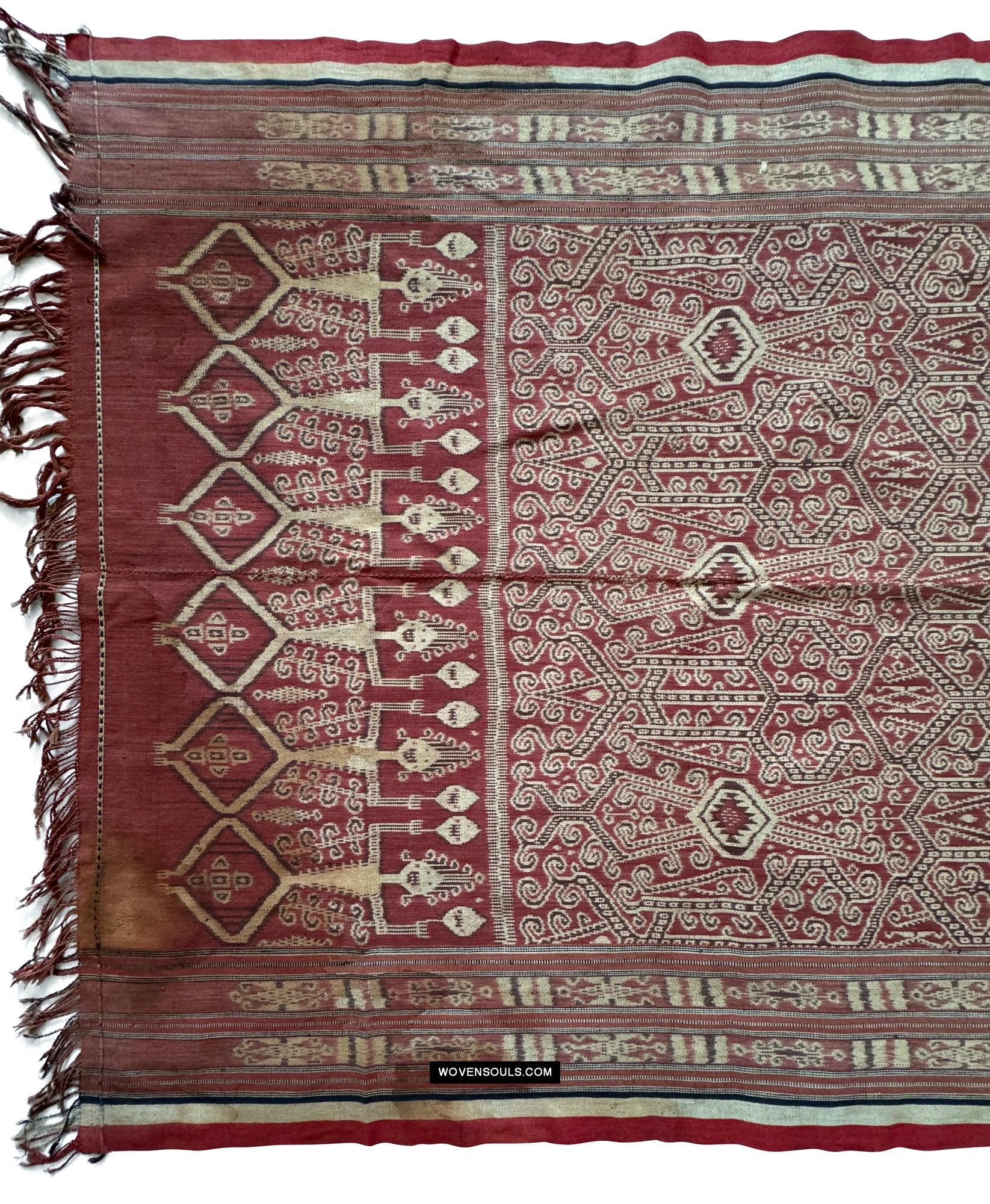 1840 Antique Iban Ceremonial Ikat - Vines & Trophy? pattern