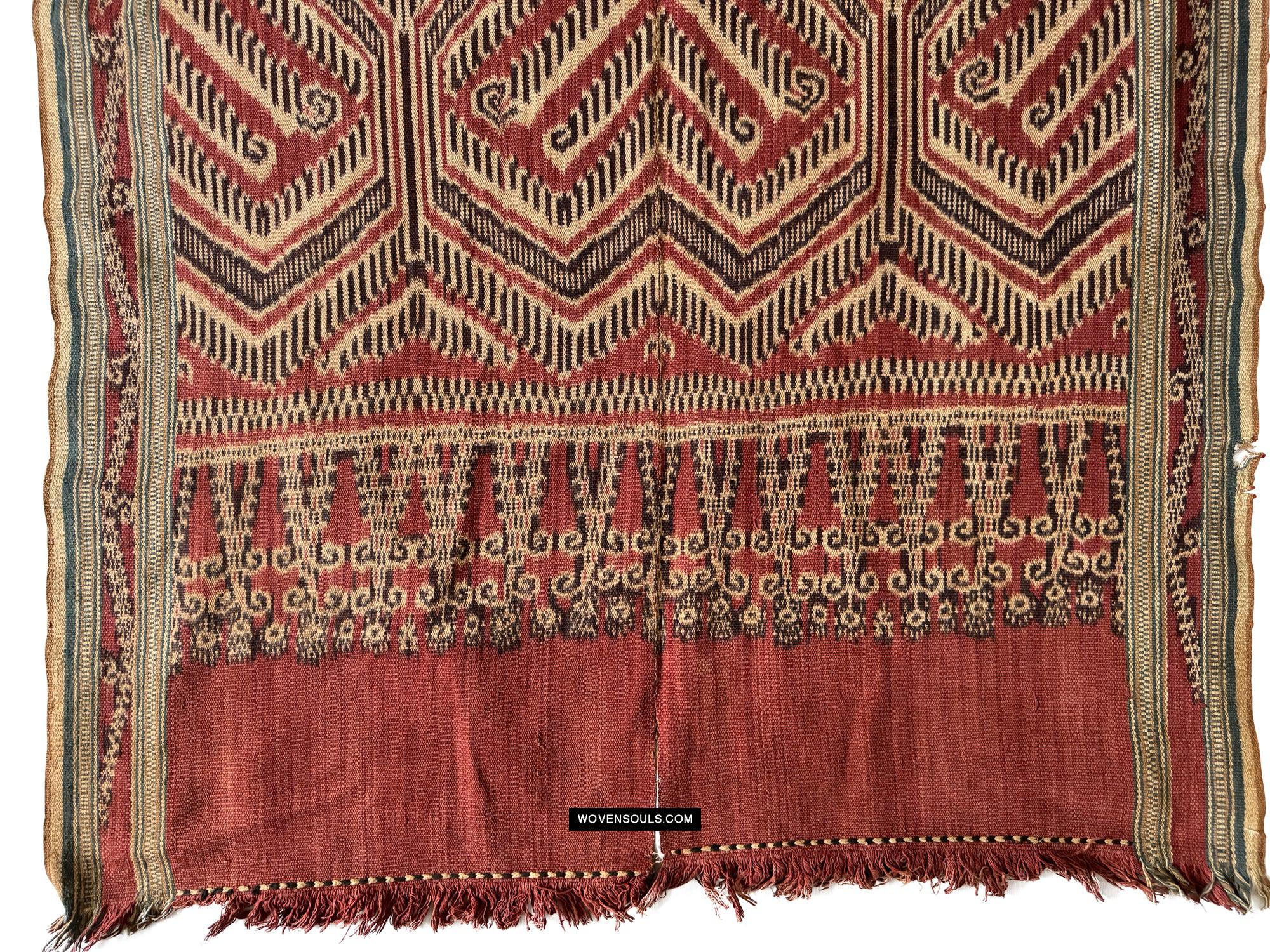 1849 Antique Iban Ceremonial Ikat - Fruiting Palm