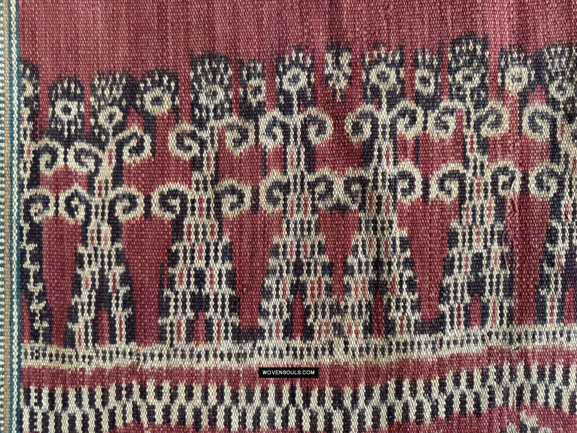 1849 Antique Iban Ceremonial Ikat - Fruiting Palm