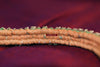 284 Old Woven Silver Gypsy Bracelet-WOVENSOULS-Antique-Vintage-Textiles-Art-Decor