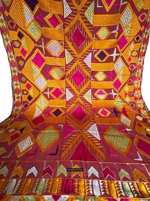 794 Rare Darshan Dwar Phulkari Bagh textile