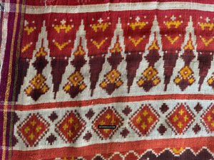 1985 Antique Heirloom Patan Patola Double Ikat Sari Fragment Elephant Tiger motif