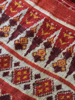 1985 Antique Heirloom Patan Patola Double Ikat Sari Fragment Elephant Tiger motif