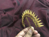 1195 Gold Hair Ornament - Konkan-WOVENSOULS-Antique-Vintage-Textiles-Art-Decor