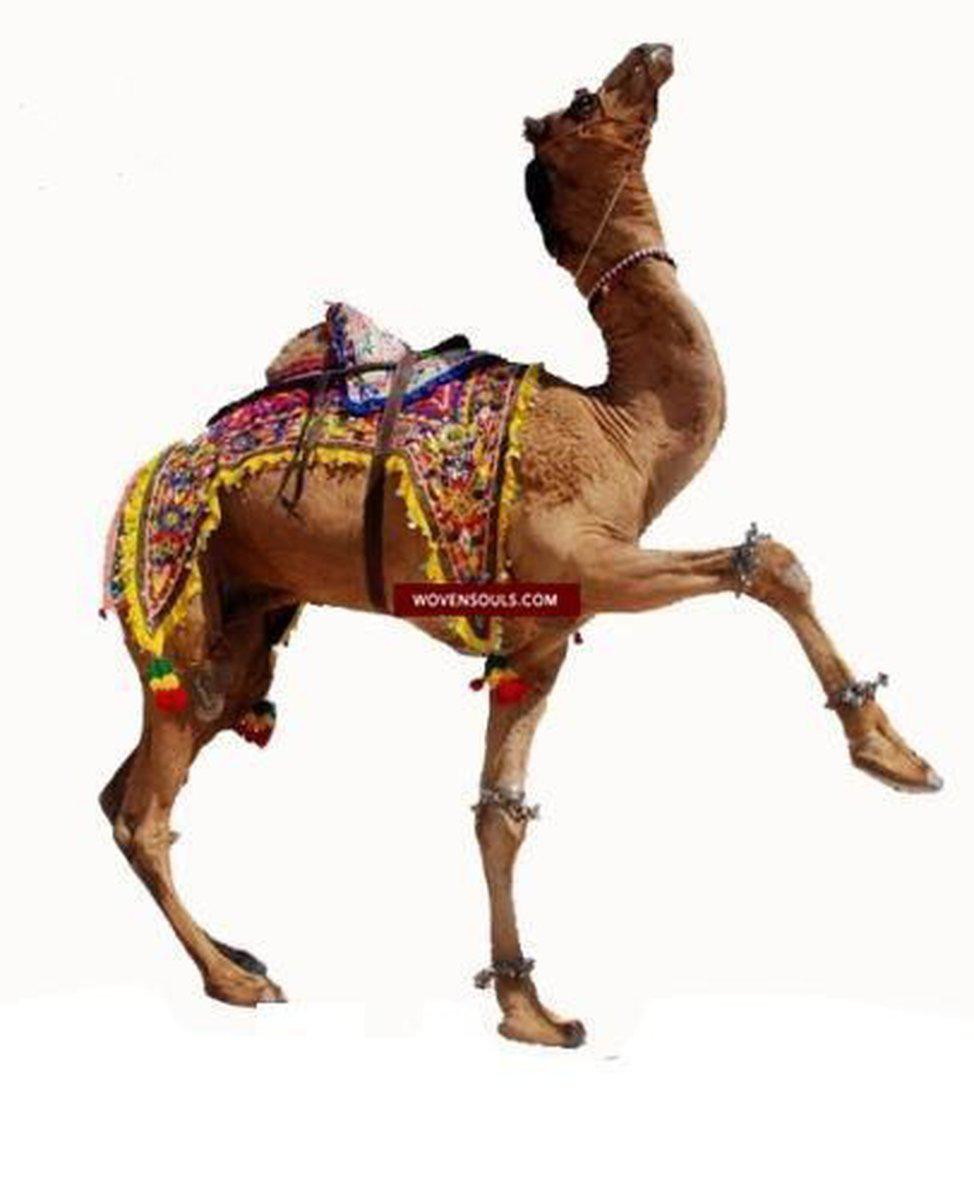 1216 Rare Vintage Ceremonial Camel Cover with Embroidery - Sindh / Rajasthan-WOVENSOULS-Antique-Vintage-Textiles-Art-Decor