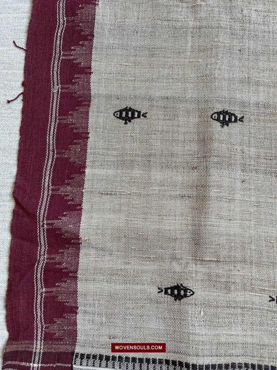 E5309- Orissa Tribal Koraput Kotpad Raw Silk Shawl - Ganga Jamuna Border-WOVENSOULS-Antique-Vintage-Textiles-Art-Decor